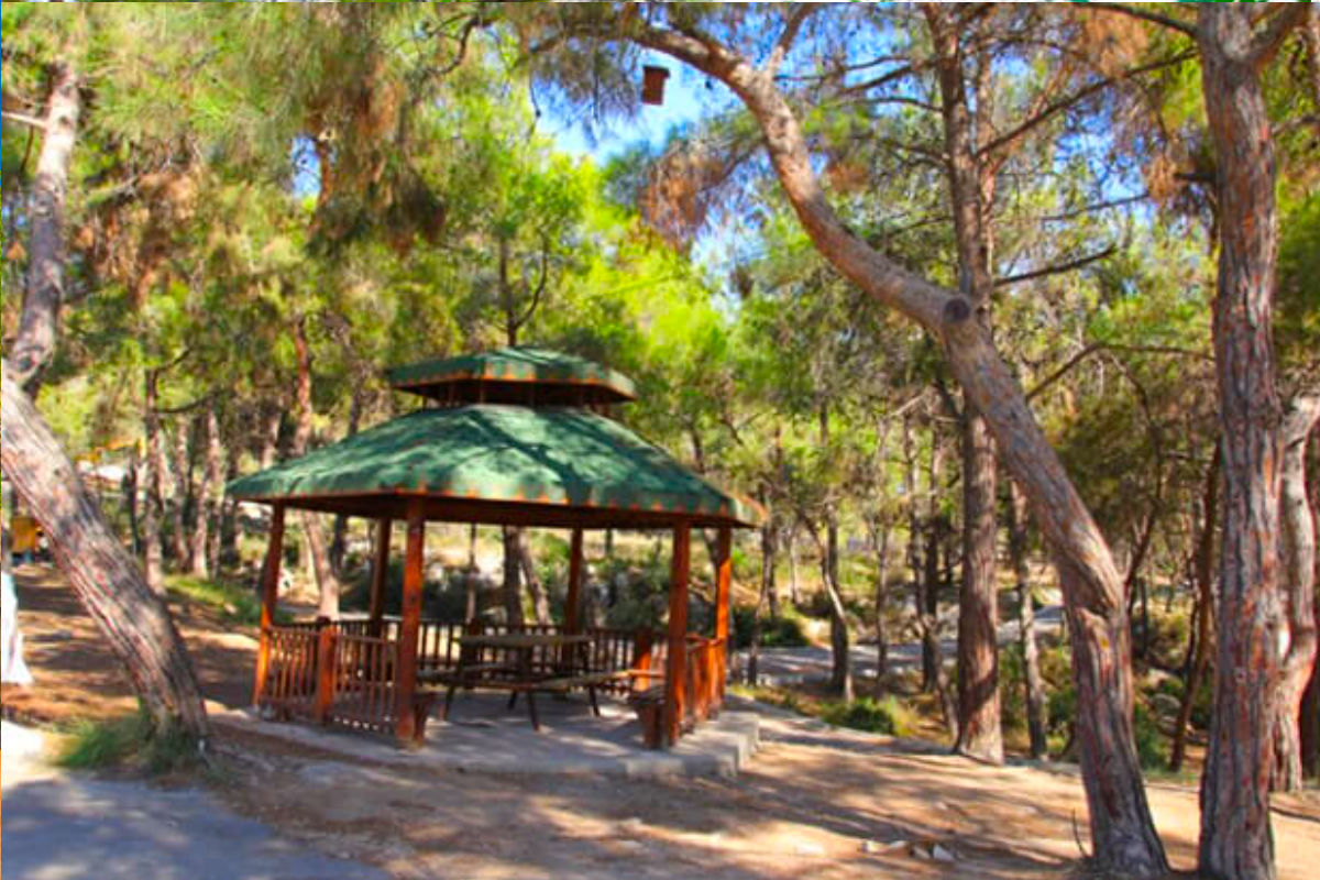 Überdachter Pavillon mit Sitzgelegenheiten im Kuyuluk Nature Park, umgeben von Bäumen